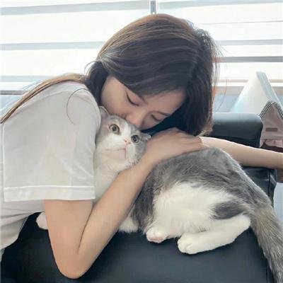 矢在弦上第一季